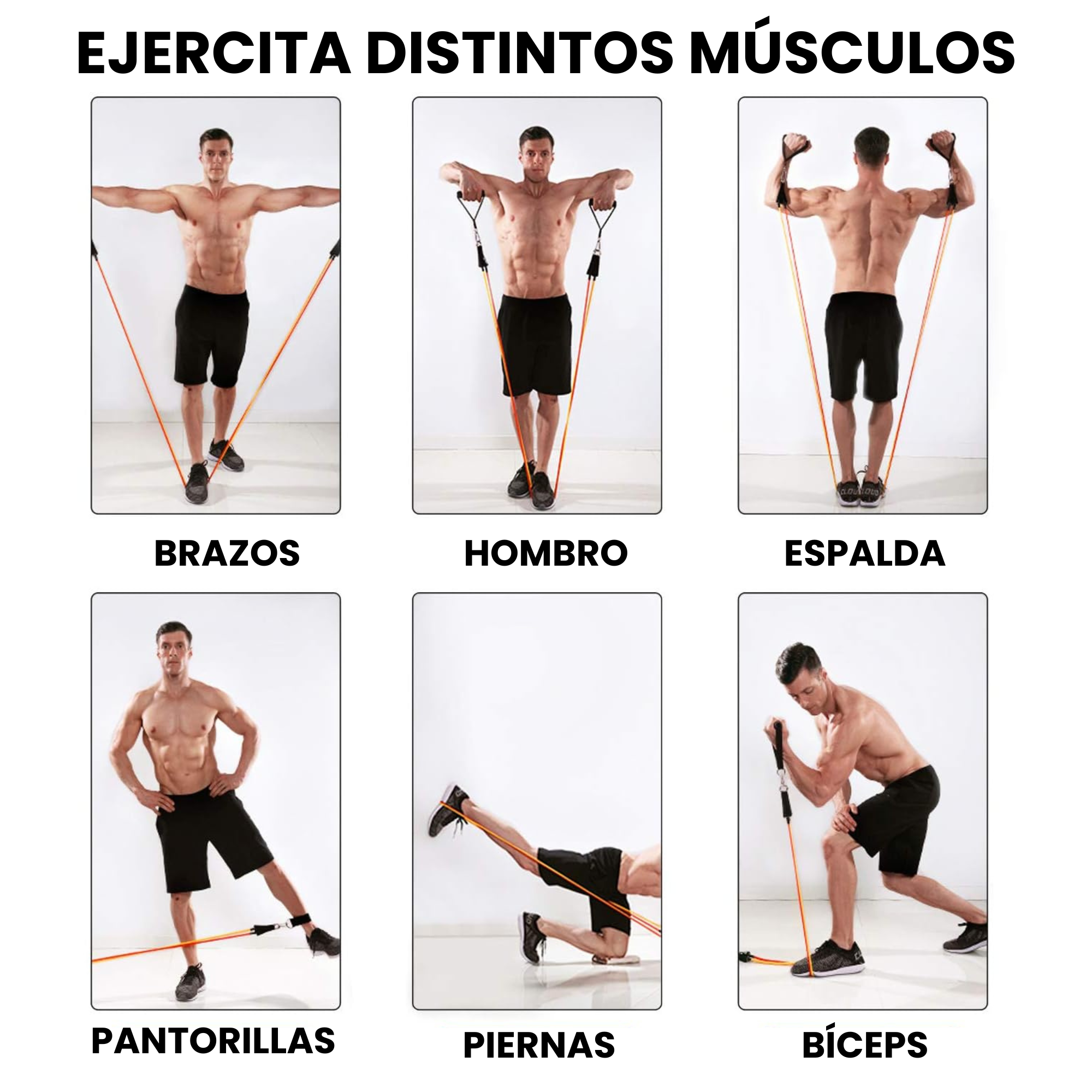 Gomas Elásticas Musculación