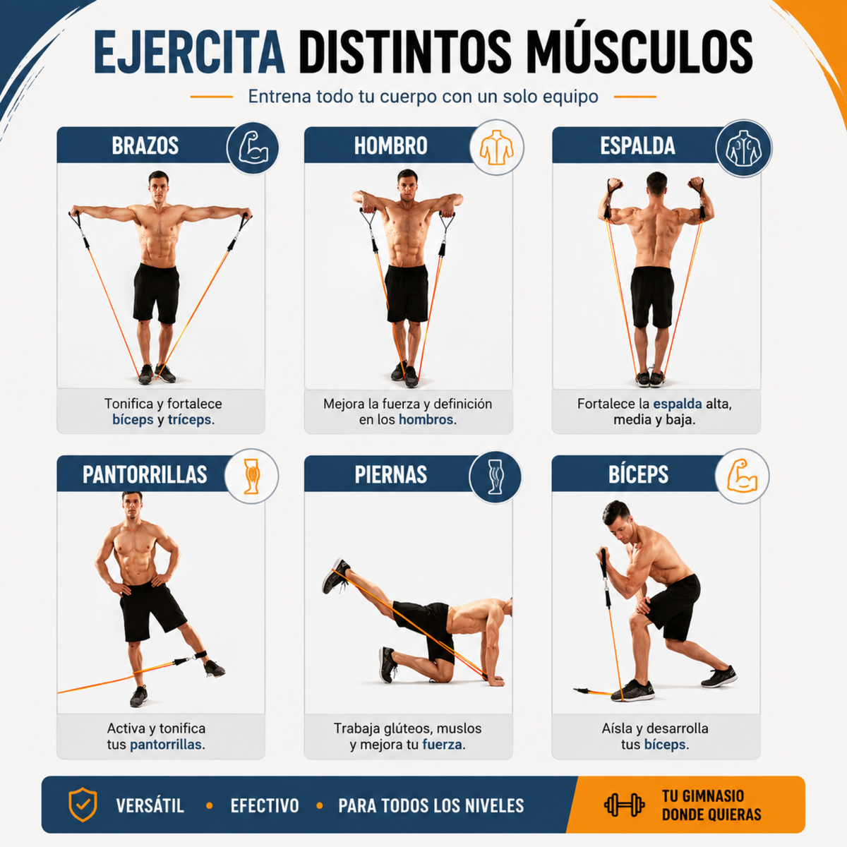 Gomas Elásticas Musculación