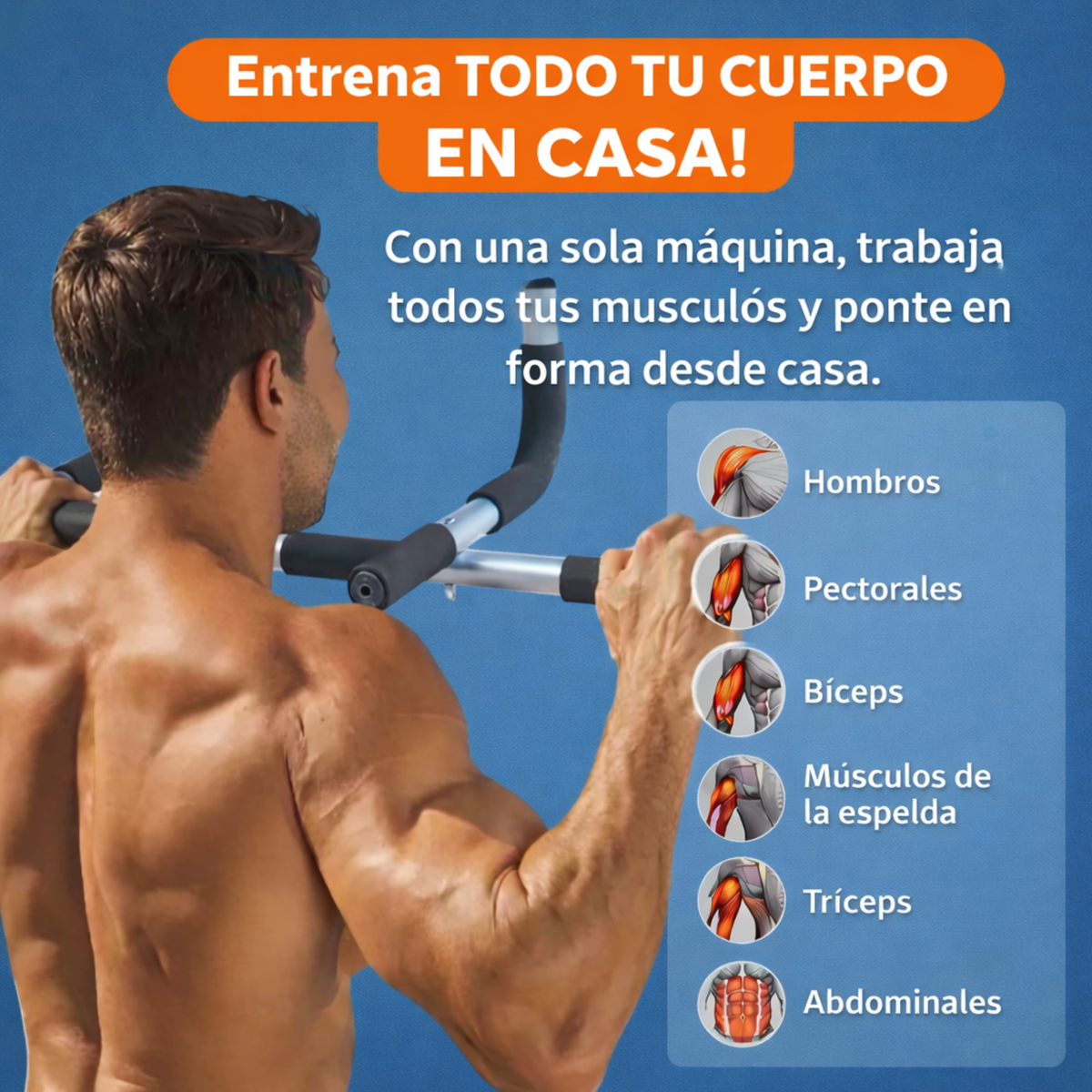 Barra de entrenamiento 4 en 1. Barra dominadas. Barra Push Up. Barra fondos. Abdominales